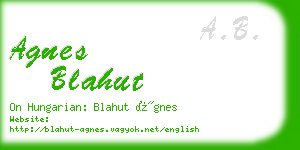 agnes blahut business card